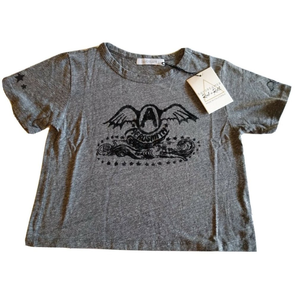 Daydreamer Aerosmith Tee Heathered Gray Crop